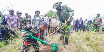 Alfred Mutua Launches 'One Tree per Tourist' Initiative