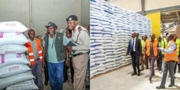 A side to side photo of Agriculture CS Mithika Linturi inspecting fertilizer in a depot and President William Ruto ina past tour at a NCPB depot in Eldoret.