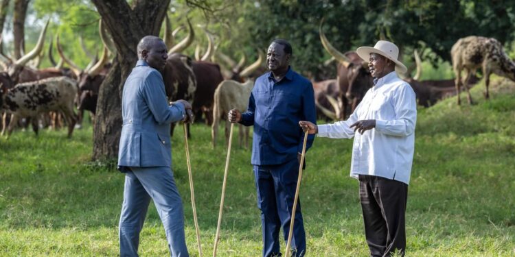Raila Jets Out for International Mission