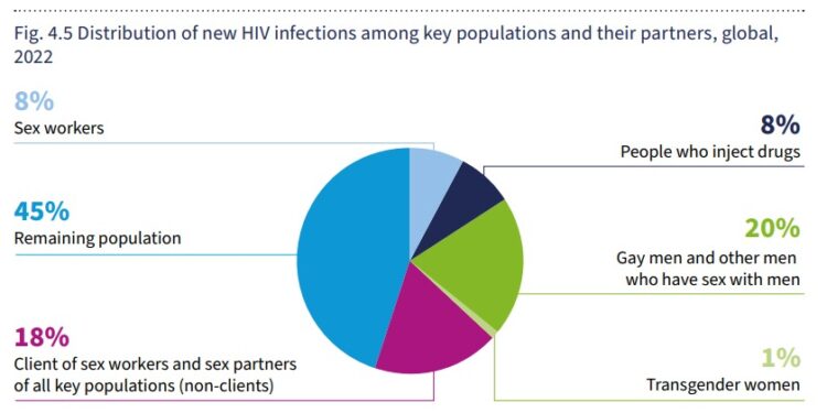 Distribution of new HIV infections among key populations and their partners, global, 2022. Photo/Courtesy