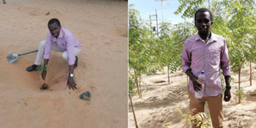 Turkana Man Mocked for Planting Trees Shares Progress