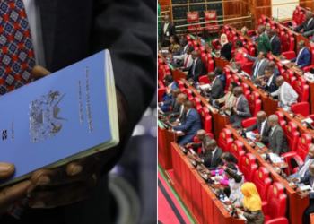 Passports: MPs Push for Issuance Within 3 Days of Applying