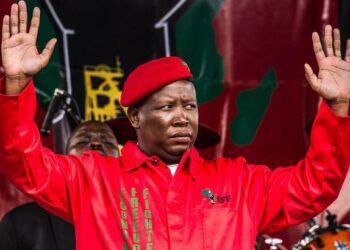 Malema Eyes Alliance After ANC Party's Historic Loss