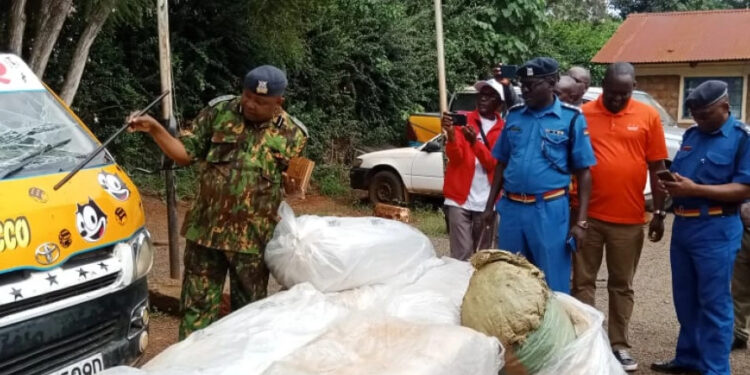 DCI Arrests Traffickers Guised as Passengers with Bhang
