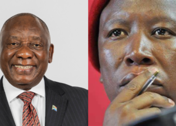 A side-to-side photo of Cyril Ramaphosa, President-elect of South Africa (left) and Julius Malema, Economic Freedom Fighters (EFF) party leader (right). Photo/Courtesy