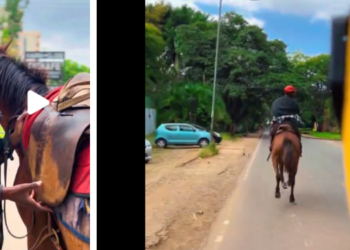 A side-to-side photo of Kenyan man holding a horse (left) and screenshot of trending man riding a horse. Photo/Courtesy