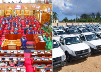 A collage of the National Assembly members during the reading of the Budget and cars. PHOTO/ Courtesy