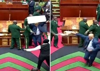 Finance Bill: MP Protesting in Parliament is Whisked Away