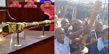 A photo of a mace lying on the table of a speaker and protestors carrying the seized mace in parliament. PHOTO/ Courtesy