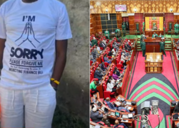 A side to side photo of a printed shirt of an MP seeking apology and Members of Parliament in a sitting. PHOTO/ Courtesy
