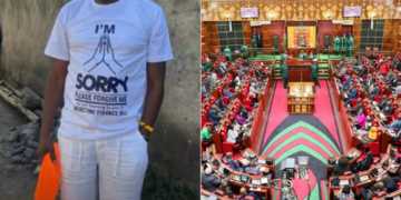 A side to side photo of a printed shirt of an MP seeking apology and Members of Parliament in a sitting. PHOTO/ Courtesy