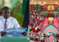 Nelson Havi Tells Gen Z to Blame MPs & Not President Ruto