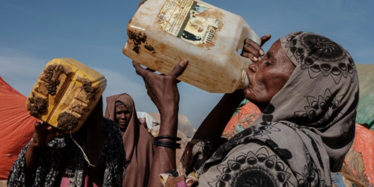 Desperate, hungry and thirsty, more and more people are flocking to Baidoa from rural areas of southern Somalia, one of the regions hardest hit by the drought that is engulfing the Horn of Africa | AFP