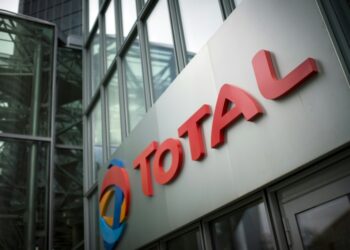 AFP | Total and its partners planned to invest $20 billion in the project, the largest amount ever for a project in Africa