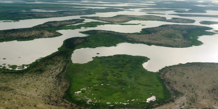 The marshy Lake Chad region has become a bolthole for jihadists from neighboring Nigeria | AFP