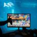 Something fishy: Two gamers fight it out in a popular game with an aquarium in the background at the Africa Games Week in Cape Town | AFP
