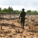 Years of unchecked exploitation have inflicted terrible damage on the mangroves, mudflats and sandy dunes of the estuary of Kenya's second-longest river | AFP