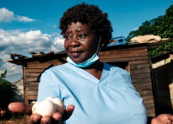 Virginia Mutsamwira is a highly skilled nurse but is so poorly paid that she raises chickens to help make ends meet | AFP