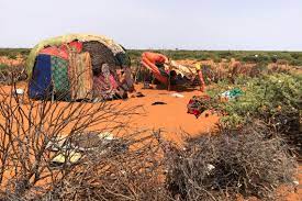 1.3 million people in Somalia have had to leave their homes because of drought.
Photo: ICRC