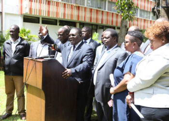 Luo professionals addressing the media in Nairobi.Photo/Courtesy
