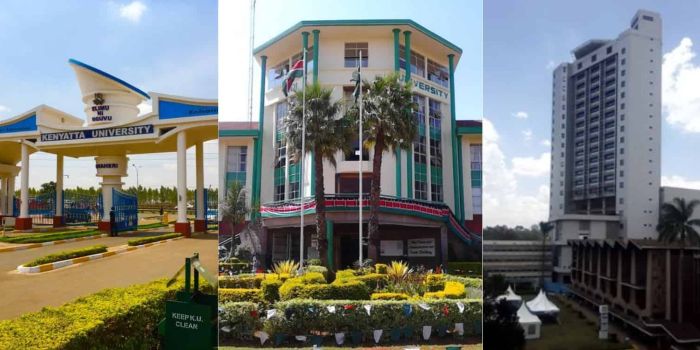 List of 18 Degree Courses That Attracted Only One Student Countrywide
