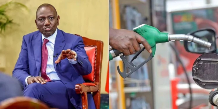 Fuel Subsidy Not Back, Says President Ruto