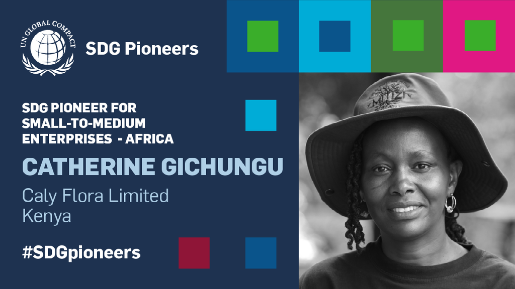 Kenyan Entrepreneur Catherine Gichungu Honored as UN Global Compact 2023 SDG Pioneer