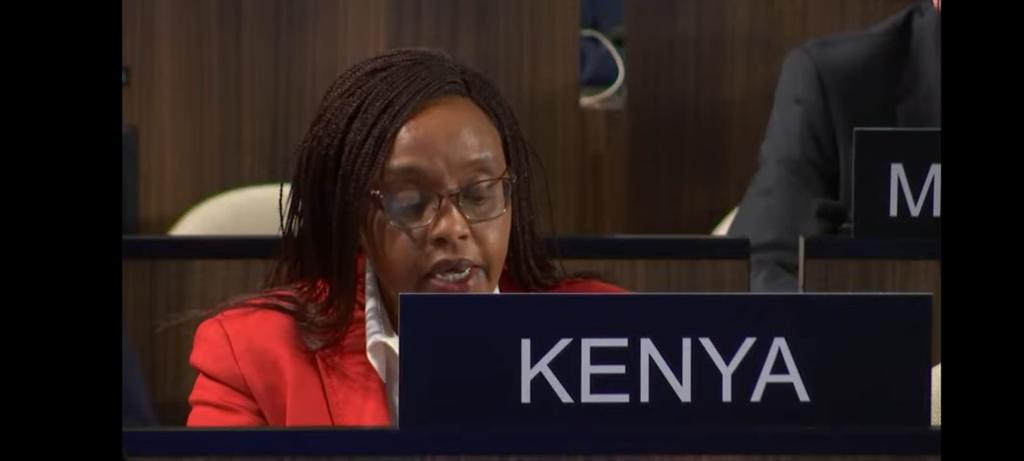 Ambassador Phyllis Kandie represents Kenya in a past conference. 