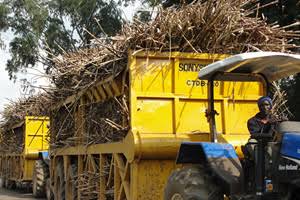 Treasury Proposes Merging of Struggling Sugar Companies