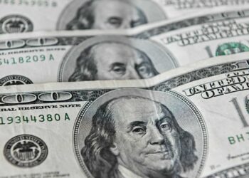 Dollar Hoarders Gain Big Despite Warnings