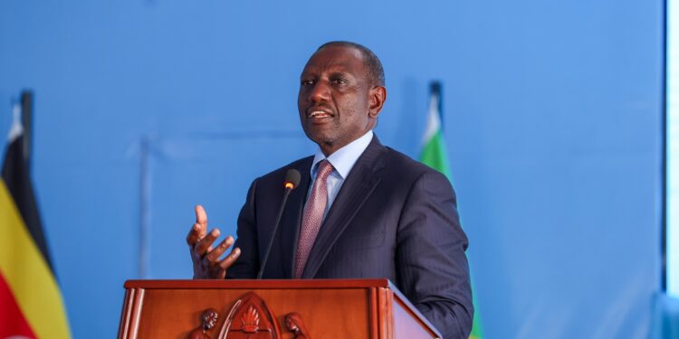 President William Ruto during the EAC Summit in Tanzania.