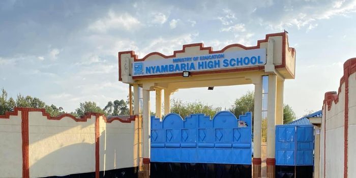 A photo of Nyambaria High Schhool's main gate in Nyamira County. 