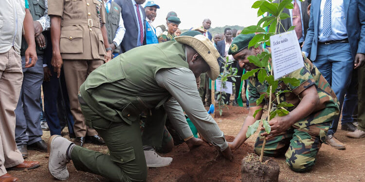 Ministry Issues Directive Ahead of Tree Planting Day