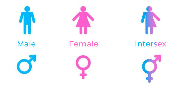 A photo of male symbol, female symbol and intersex symbol.