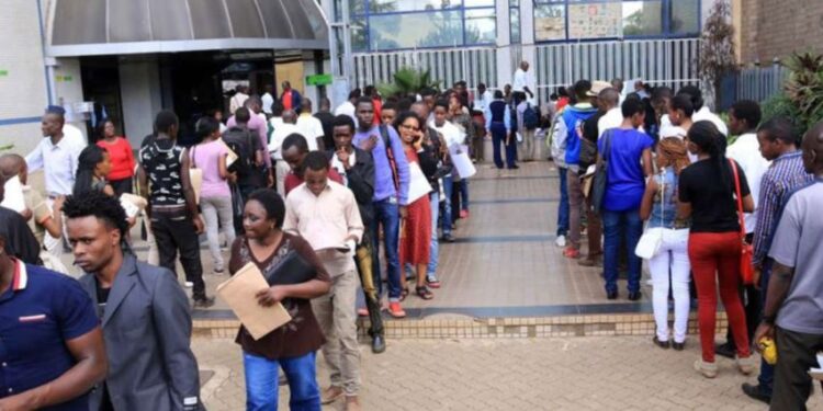 Students line up to receive HELB services.