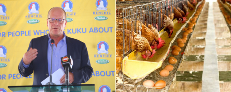 Kenchic Opportunities for Poultry Farmers; How to Apply