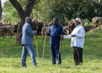 From left, Kenya's President William Ruto, Kenya's Opposition leader Raila Odinga and Uganda's President Yoweri Museveni. PHOTO/ PCS.