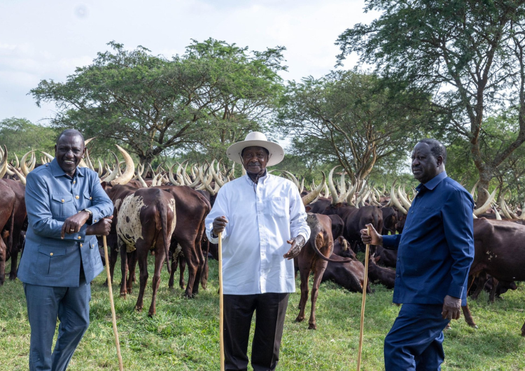 From left, Kenya's President William Ruto, Kenya's Opposition leader Raila Odinga and Uganda's President Yoweri Museveni. PHOTO/ PCS.