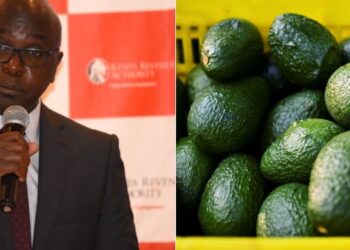 A side-toside photo of KRA Commissioner General Humphrey Wattanga and a photo of avocados.
