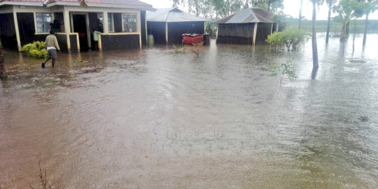 Kenya Met Dept lists regions to experience rainfall