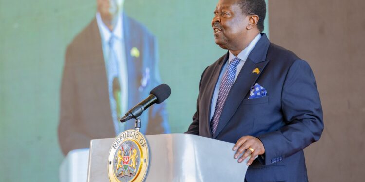 Mudavadi Warns Politicians Over Raila Odinga's AUC Quest