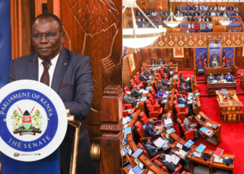 A photo collage of Kisii Deputy Governor Dr Robert Monda and Senate session on March 13, 2024. PHOTO/Parliament.