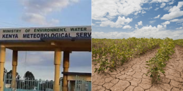A collage of Kenta Meteorological headquarters and crops in dry cracked land. PHOTO/ Courtesy