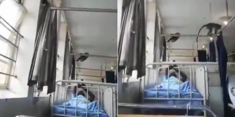 A collage of screengrabs showing monkeys terrororizing patients in a hospital ward. 