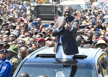 President William Ruto addressing residents of Chepalungu sub county in Bomet on March 16, 2024 Image: PCS