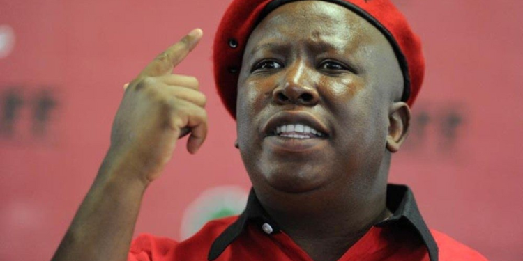 Julius Malema, Economic Freedom Fighters (EFF) party leader. Photo/Courtesy