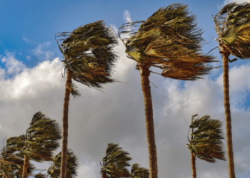 A windstorm. Photo/Courtesy