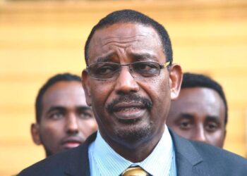 Dadaab Member of Parliament (MP) Farah Maalim
